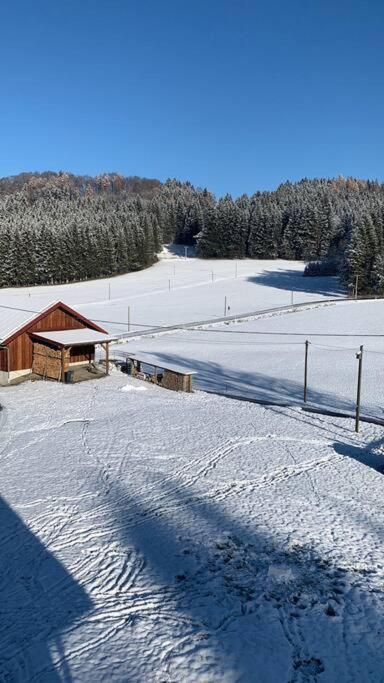 Idyllisches Ferienapartment Allgaeu Bad Groenenbach Exterior photo